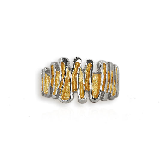 Shore Silver & Gold Plated Ring