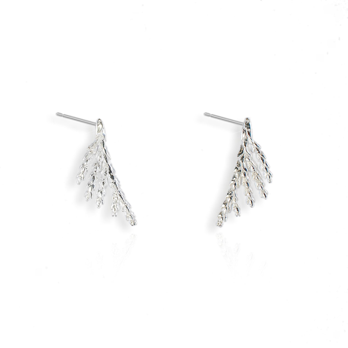 Silver Fern Earrings