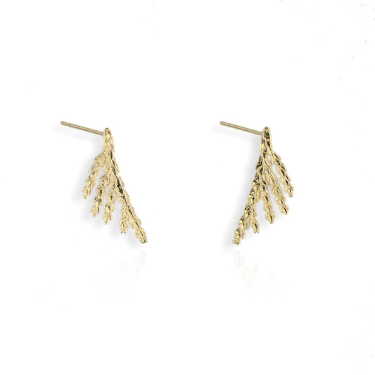 9ct Yellow Gold Fern Earrings